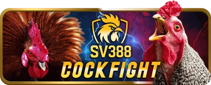 Giải mã hệ thống bảo mật vvv win55